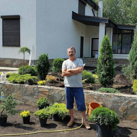 Спиреи в ландшафтном дизайне загородного дома